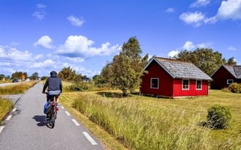 Cyclist on paved bike path passing a traditional red wooden Swedish house with gray roof. Golden grass fields and blue sky with clouds.