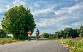 Two cyclists with yellow panniers riding on a paved country road lined with green fields and trees under a blue sky with white clouds.