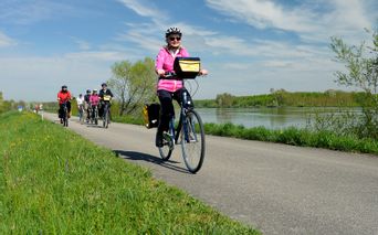 Cycling group on the Danube cycle path
