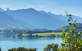 Gruyere landscape