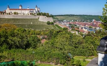 Festung Marienberg über Würzburg mit terrassierten Weinbergen am Hang. Stadt und Main unter blauem Himmel sichtbar.