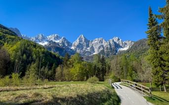 Paved cycling path with wooden bridge leading through green meadow toward snow-capped Julian Alps peaks near Kranjska Gora under clear blue sky.
