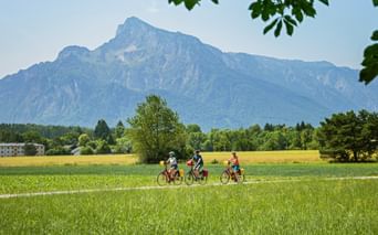 Drei Radfahrer fahren durch grüne Felder bei Salzburg mit dem Untersberg-Gebirge im Hintergrund unter blauem Himmel.