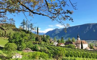 Church with pointed steeple in Kaltern, South Tyrol, framed by tree branches. Green vineyards in foreground, mountains in background under blue sky.