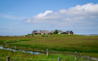 Erhöhte Hallig-Insel mit reetgedeckten Häusern auf grüner Wiese, umgeben von Marschland und Wasserkanälen unter blauem Himmel mit Wolken.