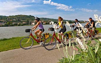 Radfahrer auf Radweg entlang der Donau