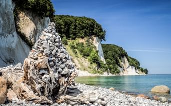 Weiße Kreidefelsen im Nationalpark Jasmund auf Rügen mit Treibholz am Kieselstrand und türkisfarbenem Ostseewasser.