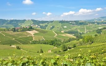 Wine-growing region in Piedmont