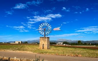 Stone windmill with white blades in agricultural fields near Alcudia, Mallorca, with mountains in the background under a blue sky.