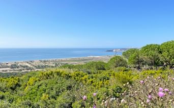 Panoramablick auf die Küste bei Famalicão mit rosa Wildblumen, grüner Vegetation, Sandstrand und blauem Atlantik unter klarem Himmel.