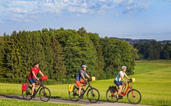 Drei Radfahrer mit Tourenrädern und Packtaschen fahren auf einem asphaltierten Weg durch grüne Wiesen in Sachsen, dichter Wald im Hintergrund.