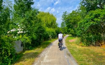 Cyclist in white shirt riding on paved path between lush green trees under blue sky on Montargis-Paris route.