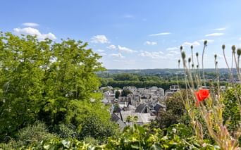 Panoramablick auf Chinon mit historischen Gebäuden und grauen Dächern. Eine rote Mohnblume und Wildblumen rahmen den Vordergrund unter blauem Himmel.