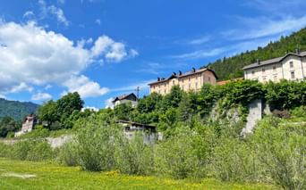 Traditional buildings in Tarvis on a hillside with lush green meadows and yellow wildflowers in the foreground under a blue sky.