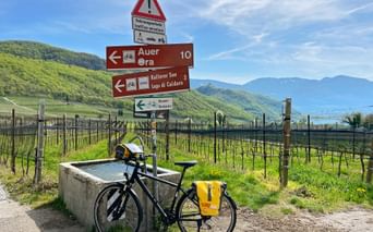 Fahrrad mit gelben Taschen neben Wegweisern nach Auer und Kalterer See, Weinberge und Berge im Hintergrund unter blauem Himmel.