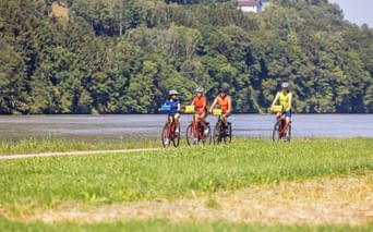 Vier Radfahrer in bunten Trikots fahren entlang einer grünen Wiese neben der Donau, mit bewaldeten Hügeln im Hintergrund.