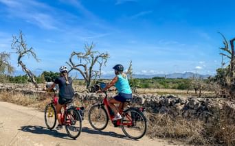Two cyclists on a dirt path in Mallorca with stone walls, bare trees, and mountains under blue sky.