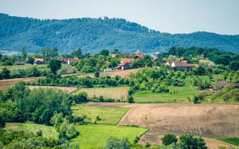 Ländliche Landschaft bei Kalocsa mit grünen Feldern, verstreuten Häusern mit roten Dächern, Bäumen und bewaldeten Hügeln im Hintergrund.
