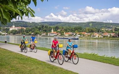 Cycling group on a cycle path along the Danube near Persenbeug-Gottsdorf