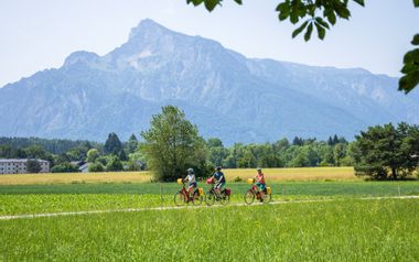 Radfahrer in Salzburg mit Blick auf den Untersberg, umgeben von Wiesen.