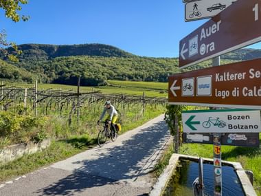 Cyclist on path at directional signs for Kalterer See and Bozen. Vineyards and green hills under blue sky in South Tyrol cycling route.