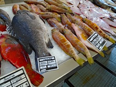Frische Fische am Markt