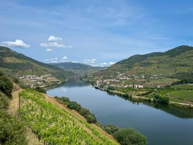 Covelinhas in Peso da Régua Covelinhas in Peso da Régua