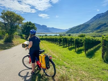Cyclist on cycle path at Lake Kaltern