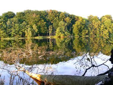 Mecklenburger Seenplatte Müritz See