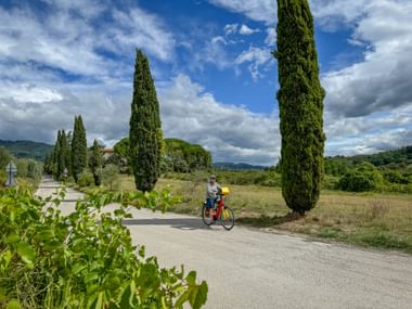 Radfahrerin fährt auf Rad vorbei an großen Zypressen