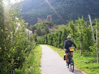 Cyclists in the orchard with a view of the ruins