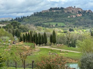 Landschaft in Toskana mit Blick auf Montepulciano