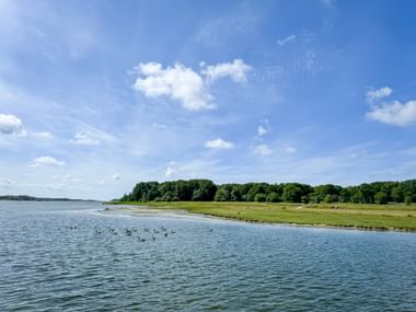 Insel Stora