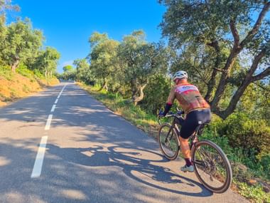 Radfahrer auf asphaltierter Straße gesäumt von grünen Bäumen unter blauem Himmel in Katalonien. Schatten auf der Straßenoberfläche.