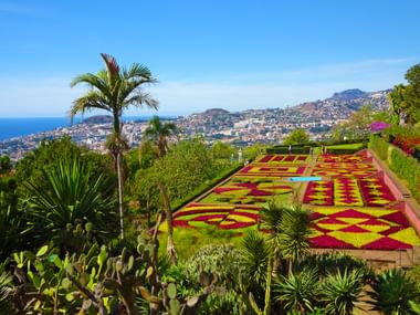 Botanical garden in the capital Funchal