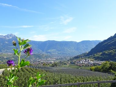 Ausblick auf die Apfelhaine in Südtirol