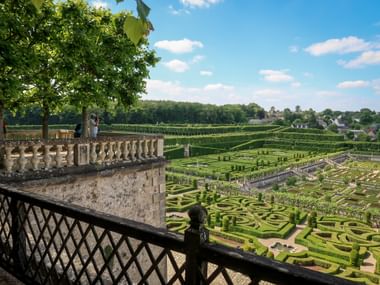 Ornamental garden at Villandry with geometric boxwood hedges forming decorative patterns. View from stone terrace with balustrade under blue sky.