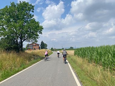 Cycling through the maize field