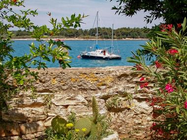 White sailboat anchored in turquoise waters near Novigrad, Istria. View framed by pink oleander flowers and green foliage with rocky shore.