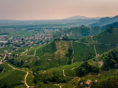 Terrassierte Weinberge auf sanften Hügeln bei Valdobbiadene in der Prosecco-Region. Ein Dorf liegt im Tal mit Bergen in der Ferne.