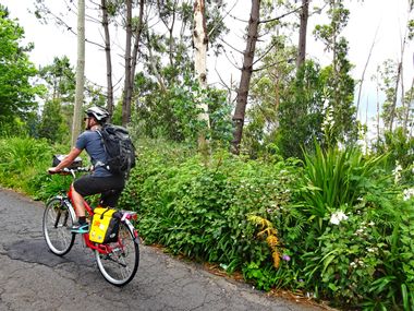 Radfahrer vor üppig grüner Vegetation kurz nach Camacha
