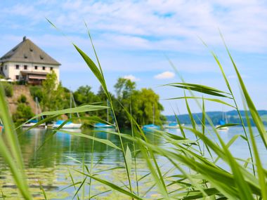 Blick auf Schloss Mattsee