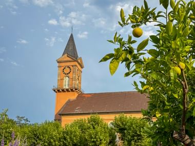 St. Ludwig Kirche mit orangefarbener Fassade und Glockenturm in Bad Dürkheim, eingerahmt von einem Zitronenbaum mit reifen Früchten.