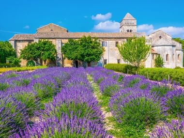 Saint-Paul Abbey in the midst of lavender fields