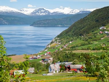 Norwegisches Dorf an grünem Hang am Nordfjord mit verstreuten Häusern. Schneebedeckte Berge erheben sich im Hintergrund unter blauem Himmel.