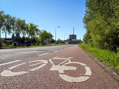 Roter Radweg mit weißem Fahrradsymbol am Wateringseweg in Delft. Bäume säumen beide Straßenseiten unter blauem Himmel.