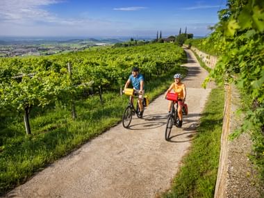 Radweg in den Weinbergen von Valpolicella