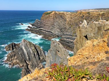 Portugal Felsenküste mit Kakteen