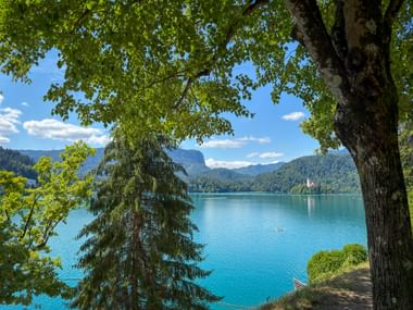 Turquoise Lake Bled framed by trees, with a small island church visible in the distance and forested mountains under a blue sky.