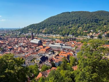 Panoramablick auf Heidelbergs Altstadt mit roten Ziegeldächern, Kirchturm, Alter Brücke über den Neckar und bewaldetem Berghang.